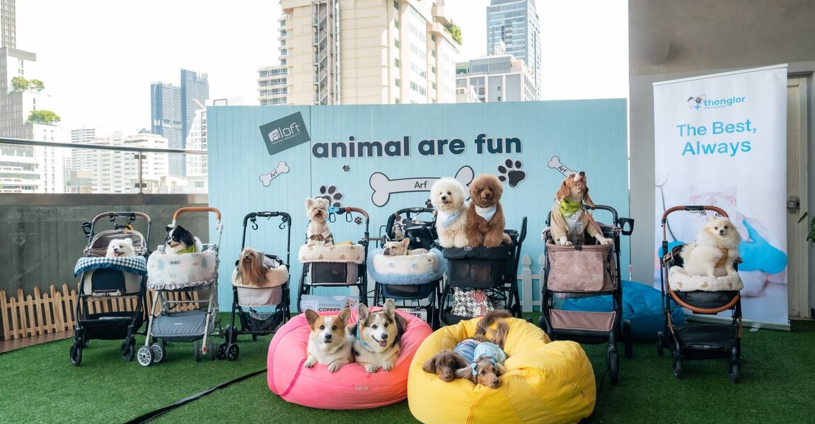 ชวนคนรักน้องหมาอิ่มอร่อยกับ Sunday Brunch & Bark ใจกลางสุขุมวิท พร้อมบุฟเฟต์สำหรับเพื่อนซี้สี่ขา
